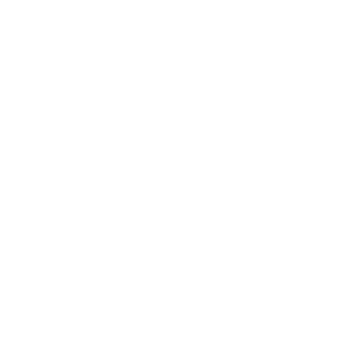 Professionista