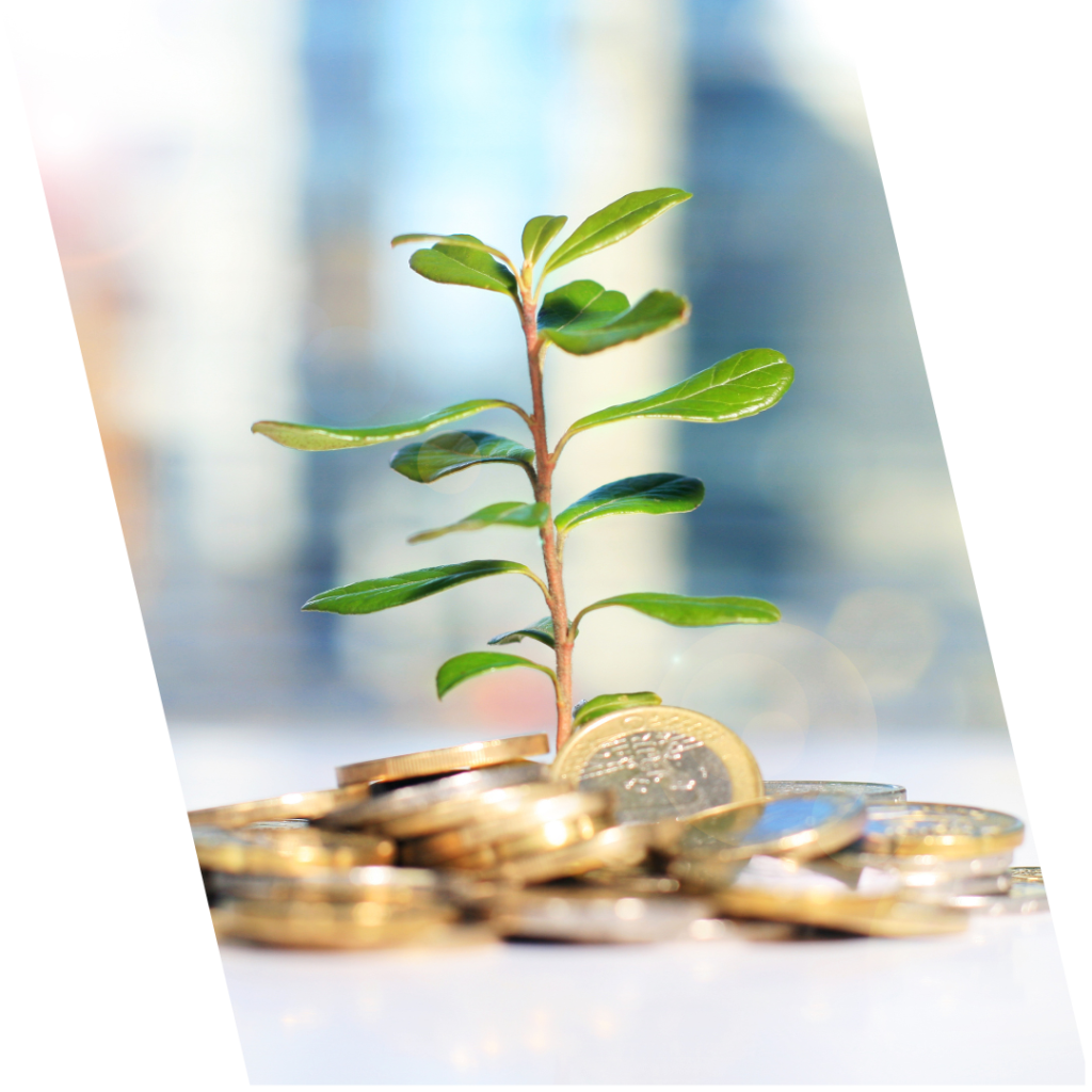 investimento